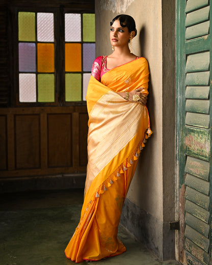 Kavisha