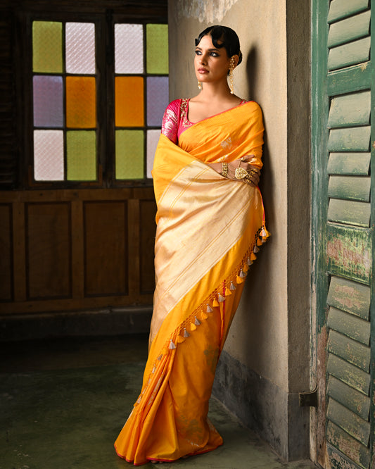 Kavisha